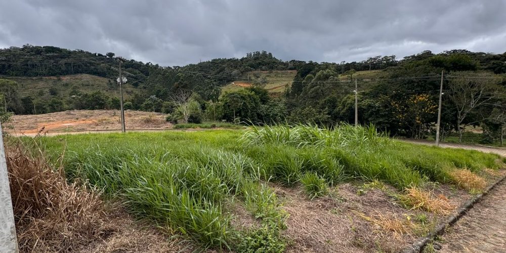 WhatsApp Image 2025-10-23 at 11.39.16 (3)