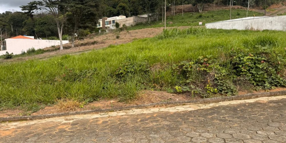 WhatsApp Image 2025-10-23 at 11.39.18