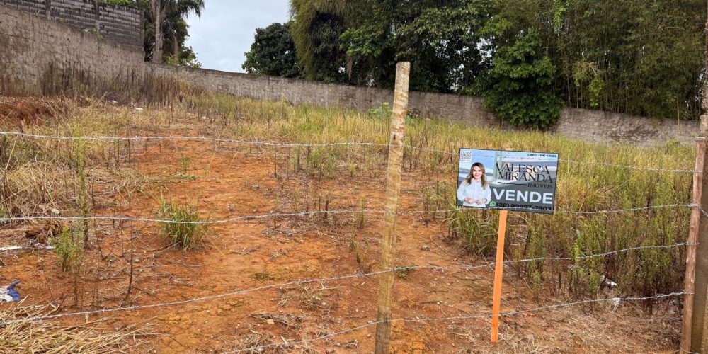 WhatsApp-Image-2025-12-19-at-14.29.44-1