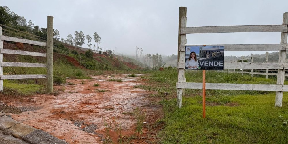 WhatsApp-Image-2026-01-12-at-11.03.29